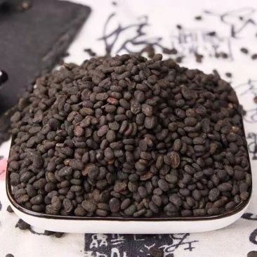 补骨脂中药材原料批发补骨脂粉中药材