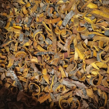 黄柏带皮丝