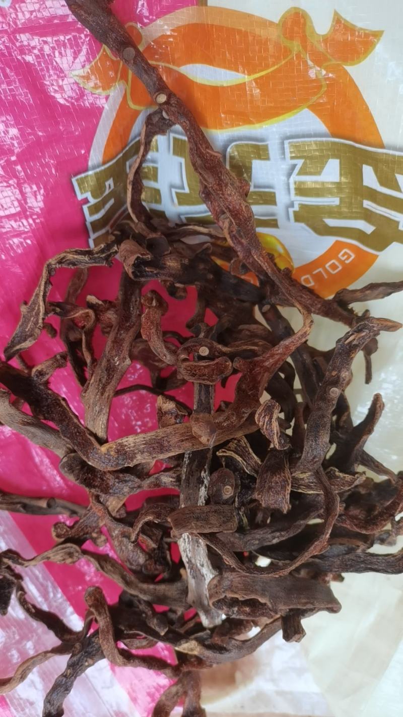 骨碎补