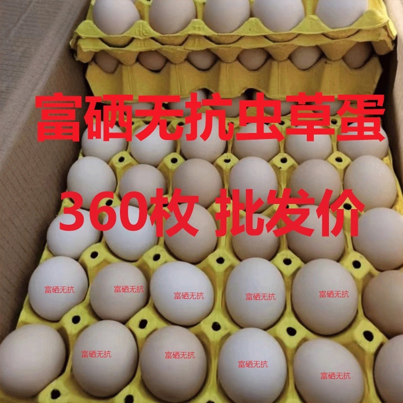 富硒无抗虫草鸡蛋