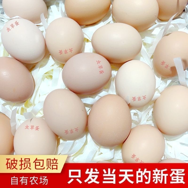 富硒无抗虫草鸡蛋
