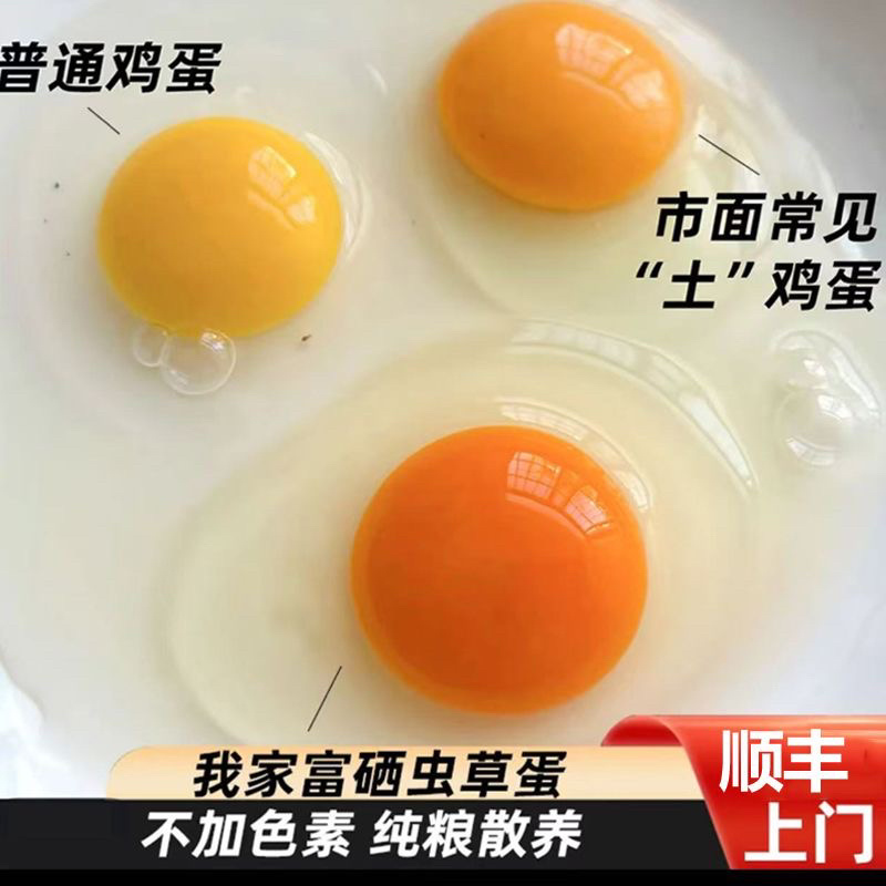 富硒无抗虫草鸡蛋