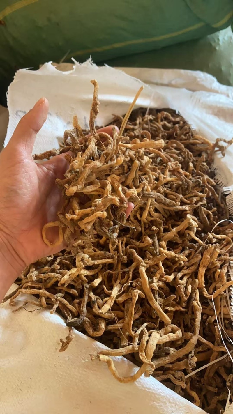正宗野生整根玉竹干货无硫玉竹片泡水中药材天然晒干