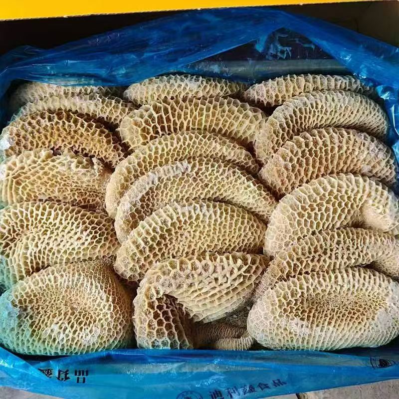 金钱肚，清水全熟金钱肚，纯干货出成高