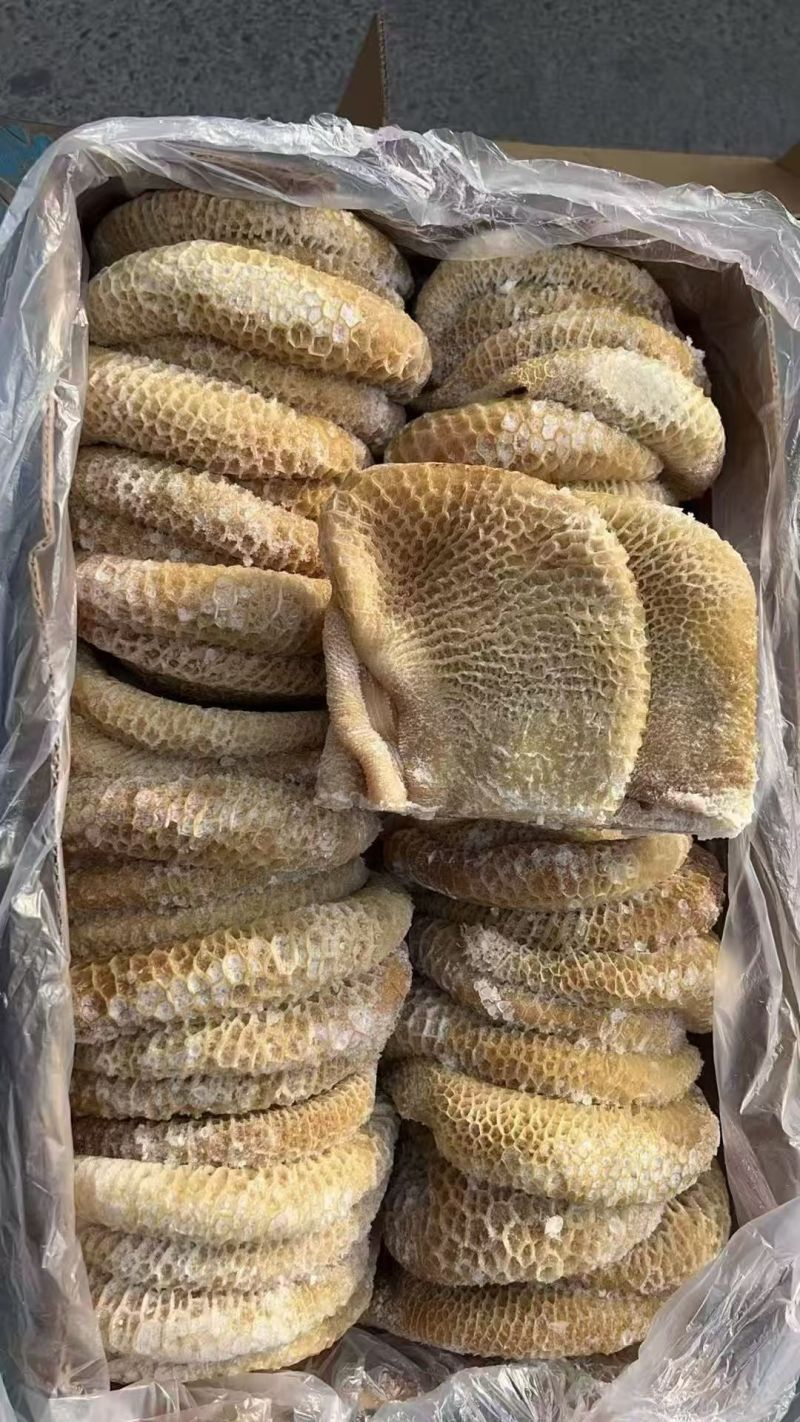 金钱肚，清水全熟金钱肚，纯干货出成高