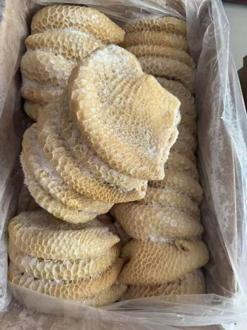 金钱肚，清水全熟金钱肚，纯干货出成高