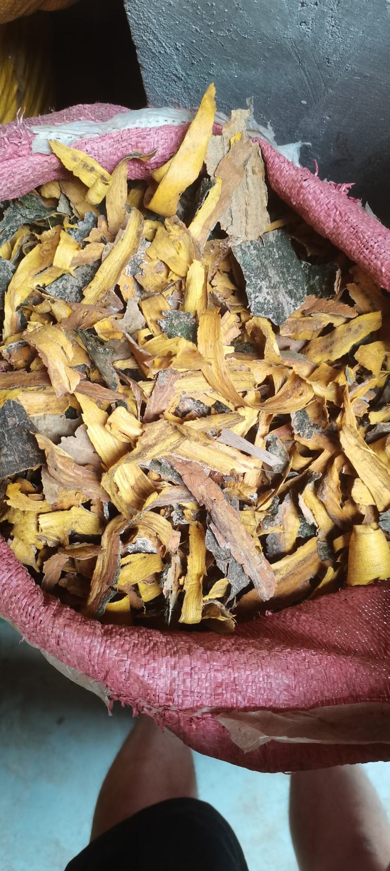 黄柏原产地，黄柏下料