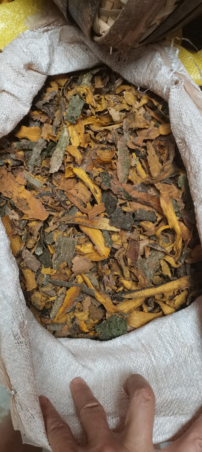 黄柏原产地，黄柏下料