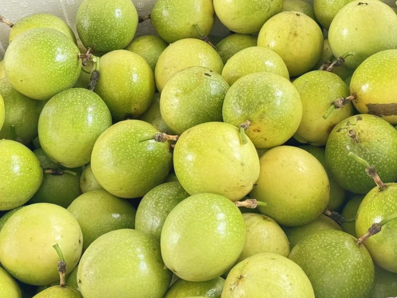 广西钦州钦蜜9号百香果，自家种植，一件起发