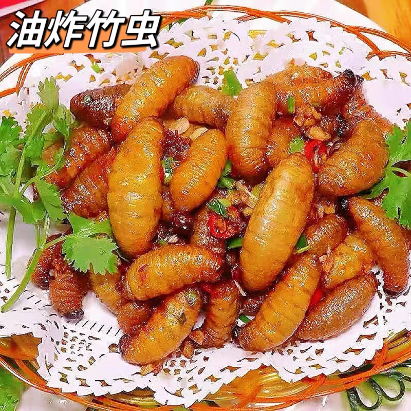 竹笋虫