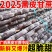 广西新鲜薄皮甘蔗现砍现发应季水果黑皮脆甜多汁