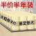 【加粗加量包邮】竹浆卫生纸卷纸批发家用卷筒纸实惠装纸巾