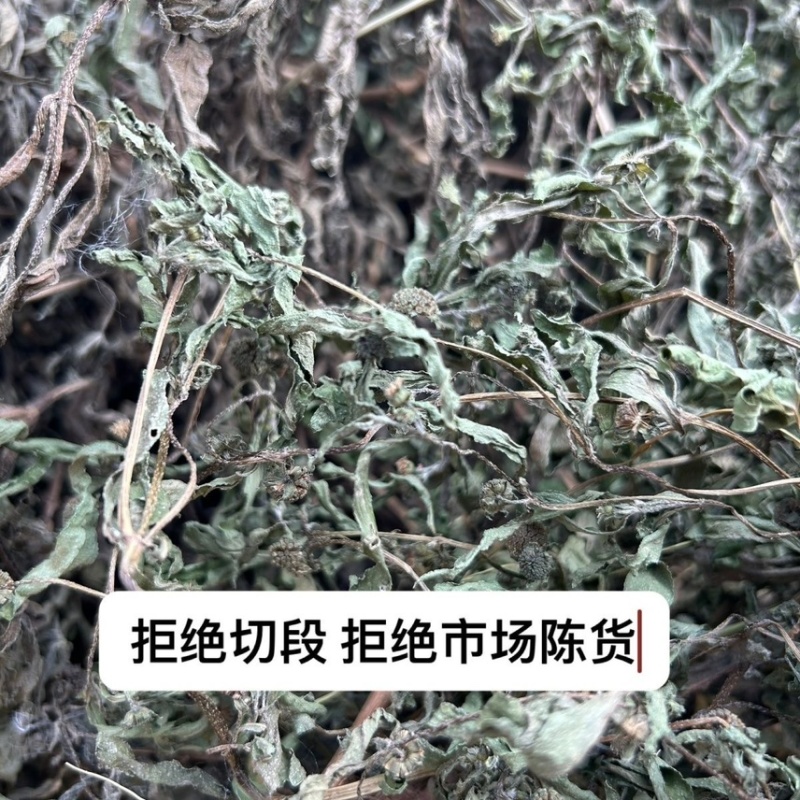 墨旱莲晒干旱莲草墨旱莲整颗墨旱莲直发