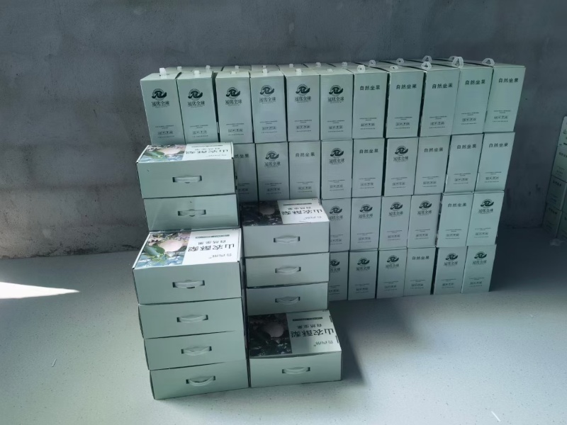 山东聊城山农酥梨特大型果含糖量高欢迎来基地考察