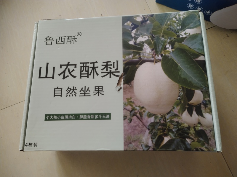 山东聊城山农酥梨特大型果含糖量高欢迎来基地考察