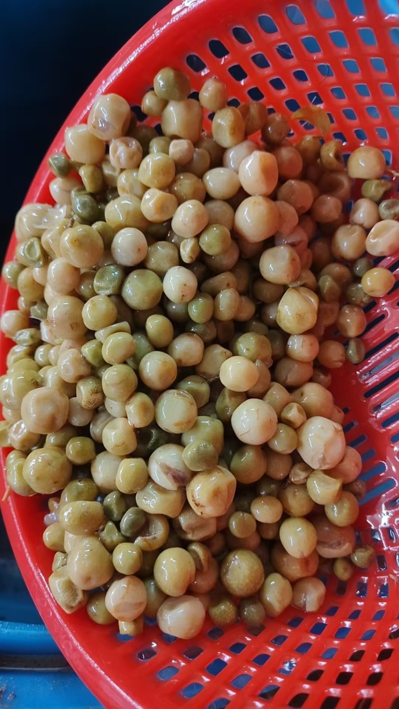 腌制的山黄皮