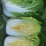 黄心大白菜、大量上市欢迎采购
