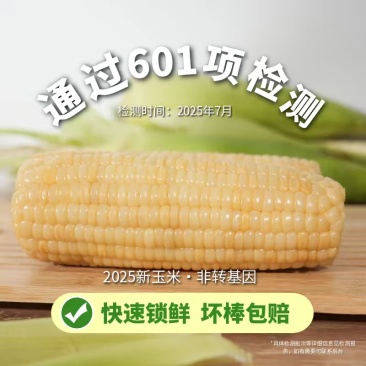 内蒙古玉米，鲜食玉米，做好货的来，复购率特别高