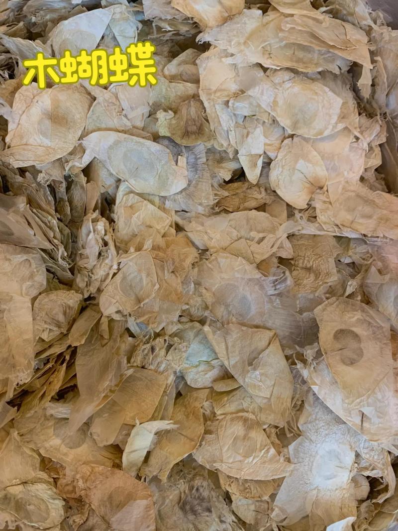 木蝴蝶种子破布子白故纸白千层千张纸玉蝴蝶云故纸玉蝴蝶满