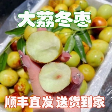 山东沾化冬枣，电商~商超~市场~一件代发。