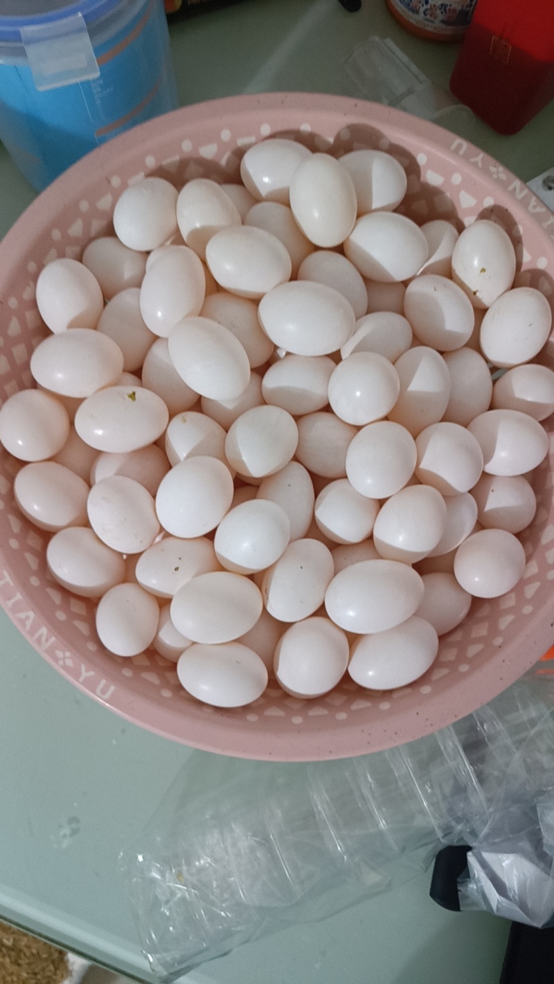 农家鸽子蛋，杂粮喂养，蛋清透明，口感细腻。老少皆宜。