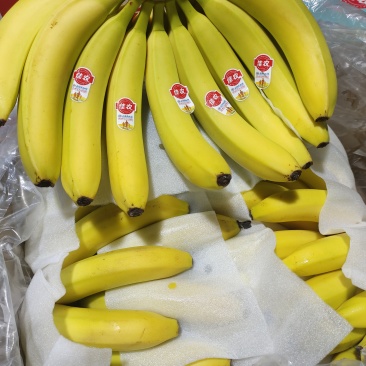 佳农香蕉