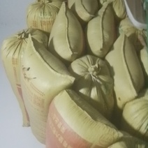 稻谷