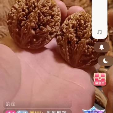 东北野生核桃