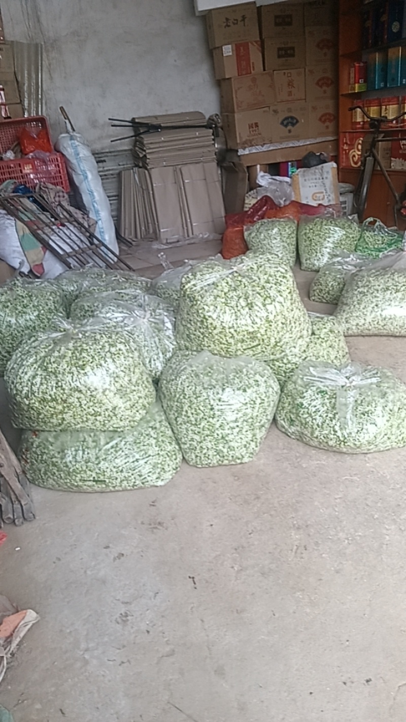 《野菜特菜》韭花/韭菜花/产地货源/批发供应/欢迎采购