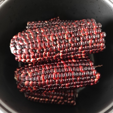 黑玉米