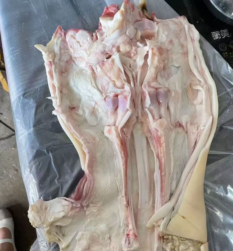 牛蹄去骨，半去骨，全去骨，各种规格！！欢迎选购！诚信经营
