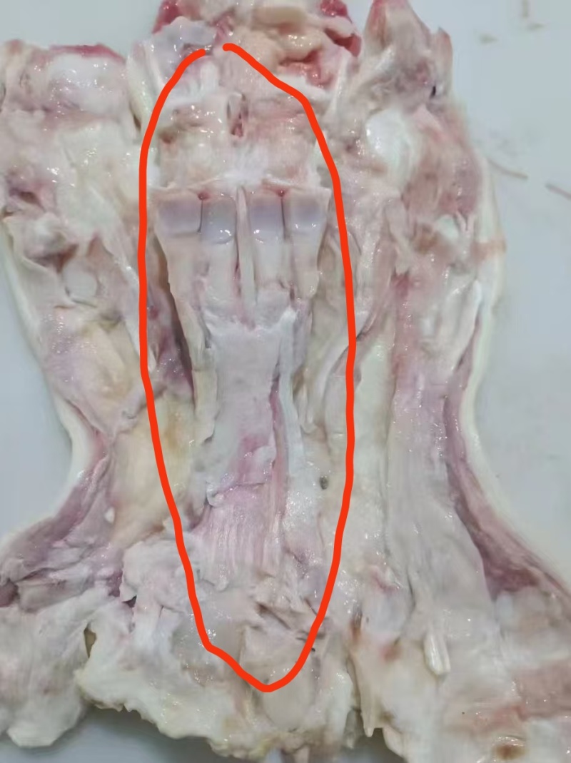 牛蹄去骨，半去骨，全去骨，各种规格！！欢迎选购！诚信经营