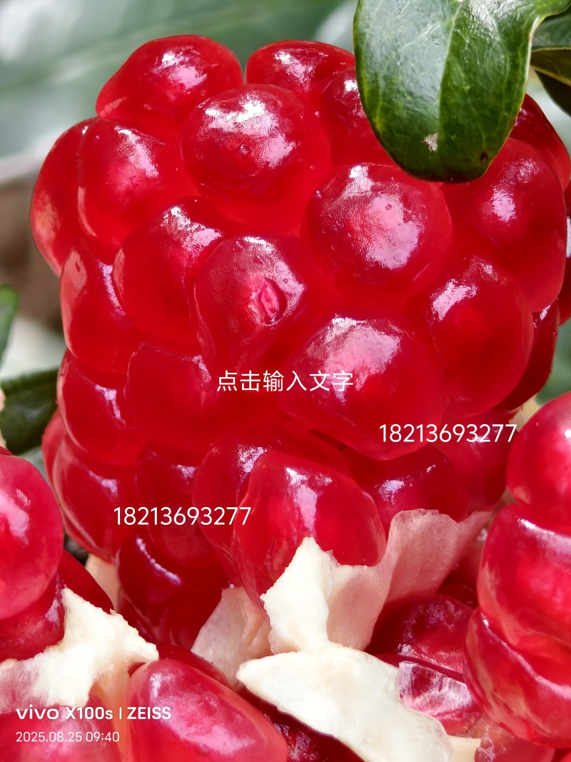 酸甜石榴