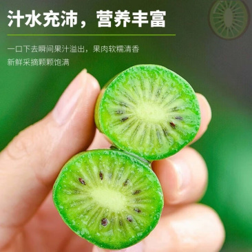 玉琳琅软枣猕猴桃，绿色认证A级