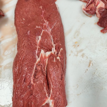 肩甲肉，板腱