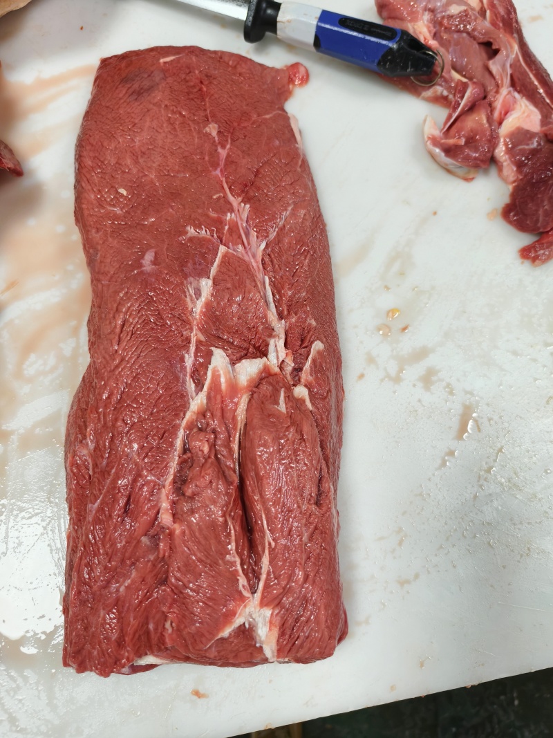 肩甲肉，板腱