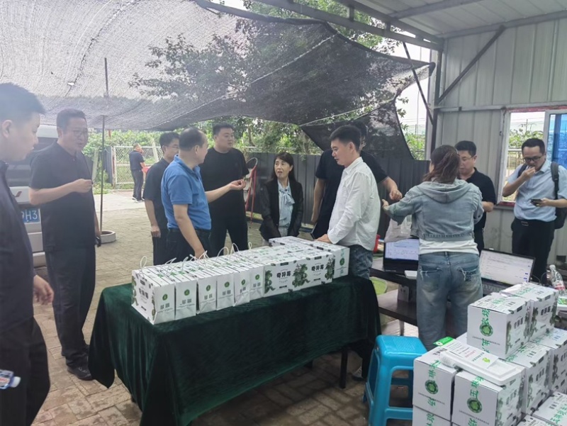 玉琳琅软枣猕猴桃，绿色认证A级