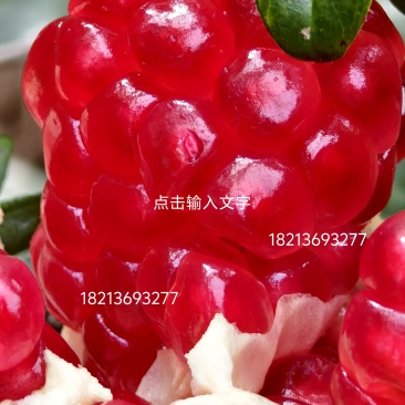 酸甜石榴