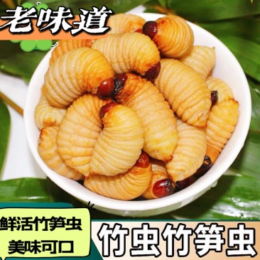 大量提供竹虫，高蛋白、低脂肪、ᵛˣ:wsyjlds高营养