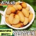 大量提供竹虫，高蛋白、低脂肪、ᵛˣ:wsyjlds高营养