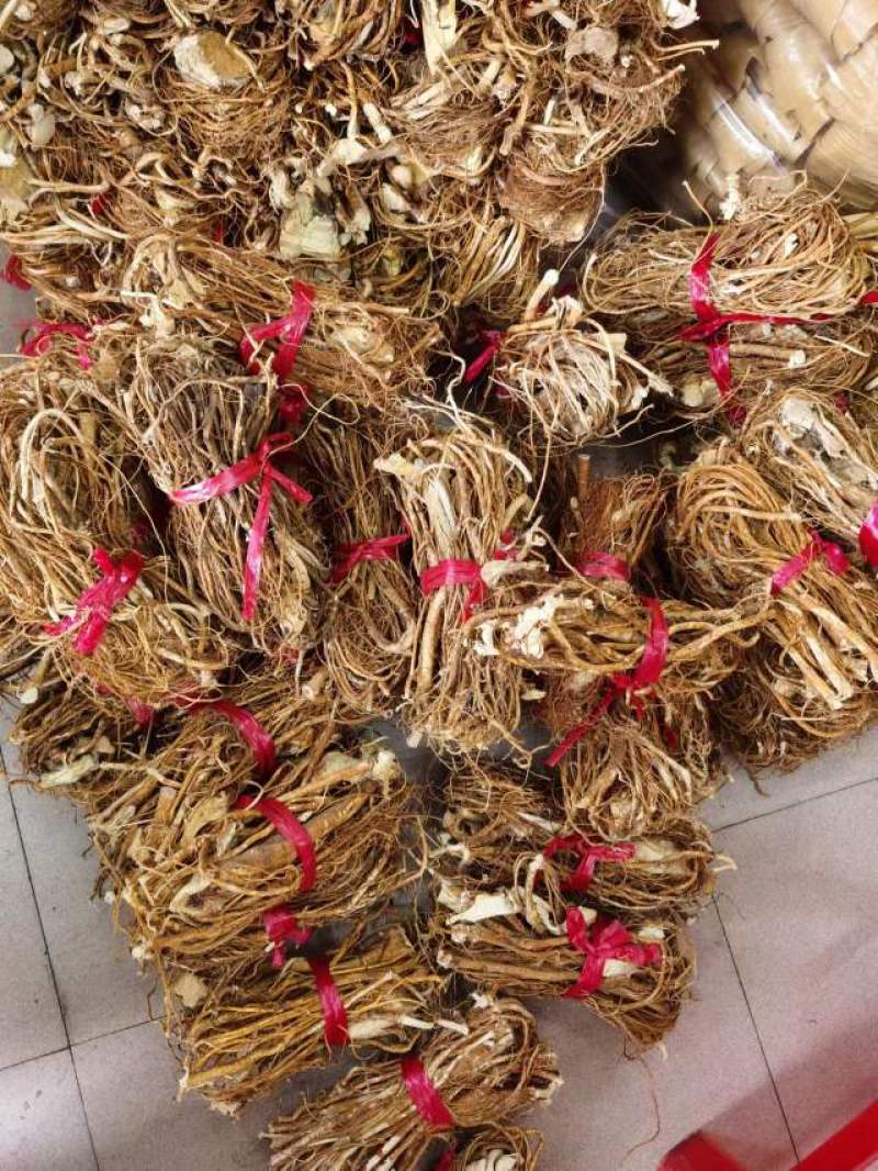 五指毛桃