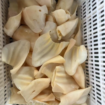 原味熟牛耳片，可做酱香，口感脆爽，散装，小包装都可定做。