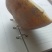 云薯304加工薯