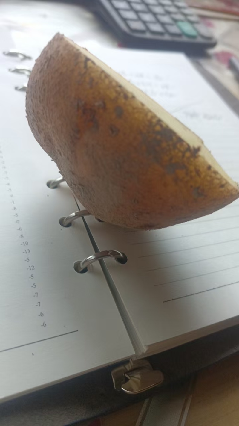 云薯304加工薯