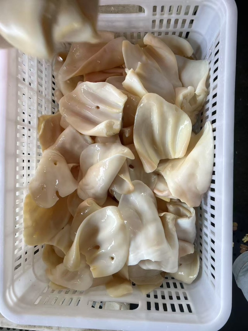 原味熟牛耳片，可做酱香，口感脆爽，散装，小包装都可定做。