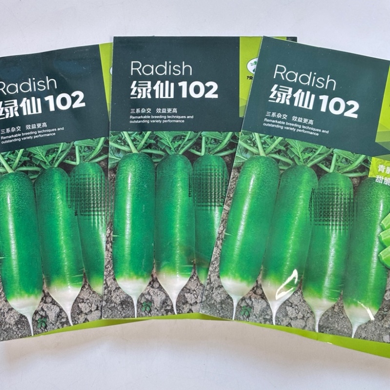 绿仙102水果萝卜种子甜脆品种种子