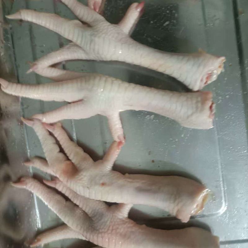 冷冻鸡爪，按需加工鸡腿鸡翅，鸡胸，鸡架，鸡背肉，去骨切块