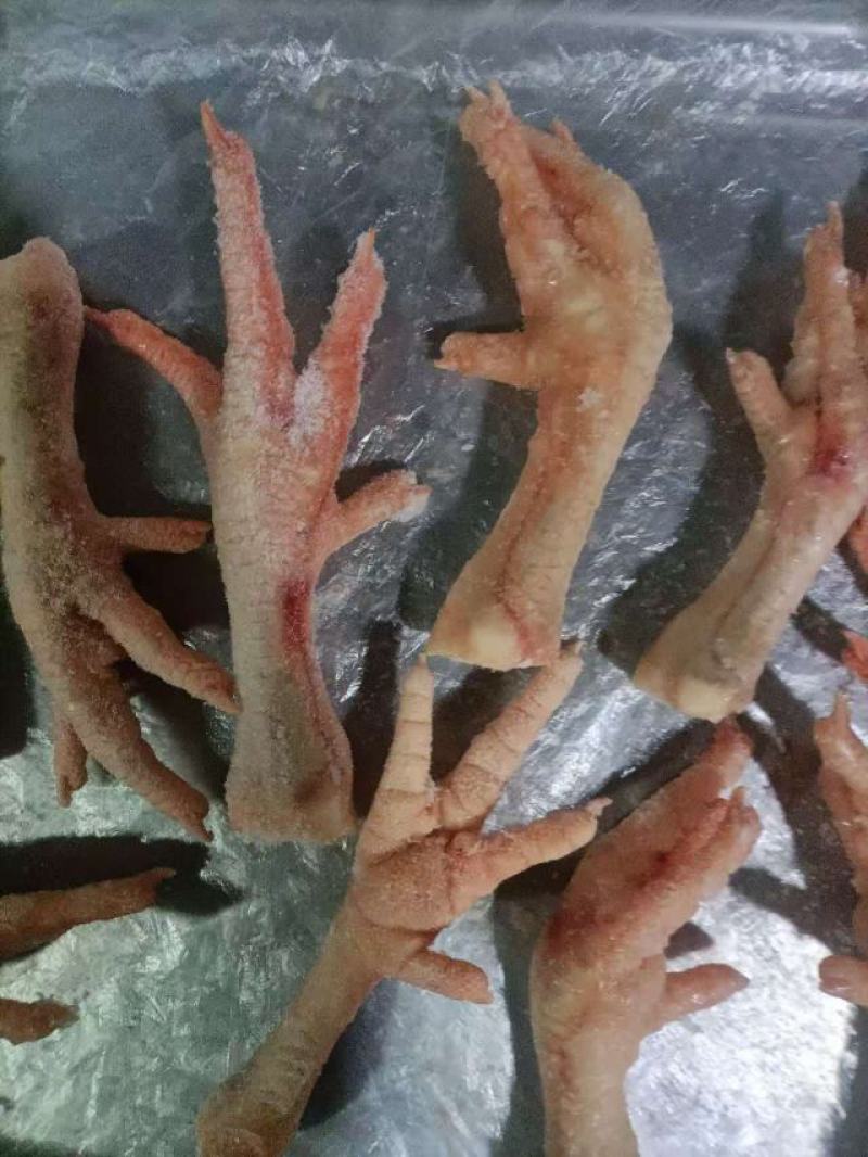 冷冻鸡爪，按需加工鸡腿鸡翅，鸡胸，鸡架，鸡背肉，去骨切块