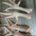 冷冻鸡爪，按需加工鸡腿鸡翅，鸡胸，鸡架，鸡背肉，去骨切块