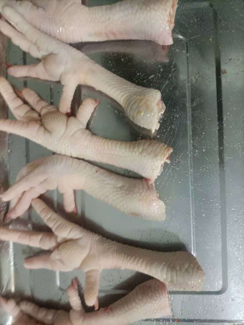冷冻鸡爪，按需加工鸡腿鸡翅，鸡胸，鸡架，鸡背肉，去骨切块